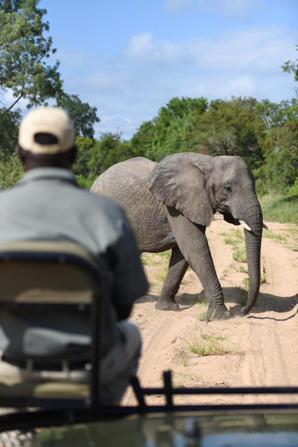 Shumbalala Game Lodge Thornybush viltreservat Eksteriør bilde