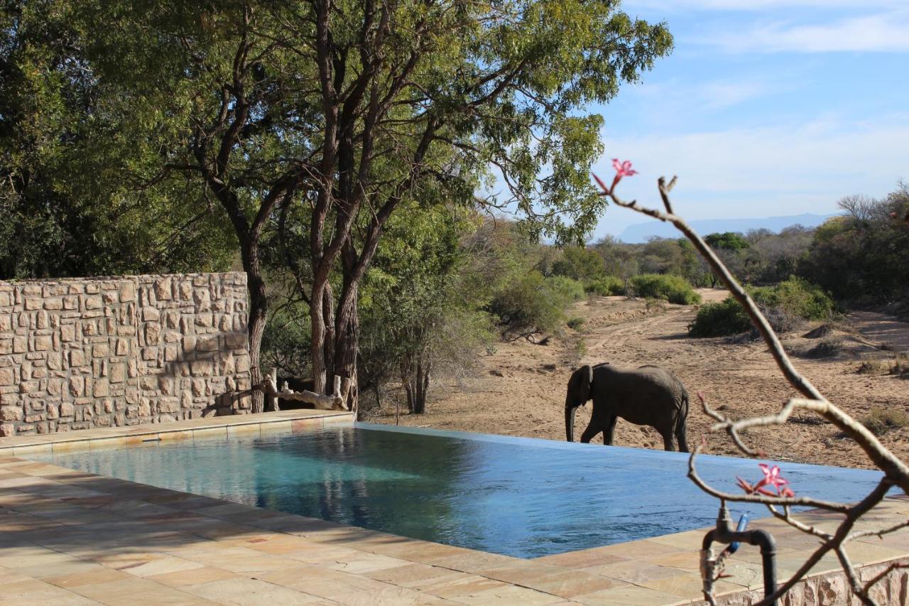 Shumbalala Game Lodge Thornybush viltreservat Eksteriør bilde